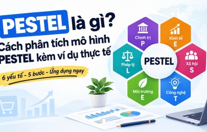 PESTEL là gì? Cách phân tích mô hình PESTEL kèm ví dụ thực tế